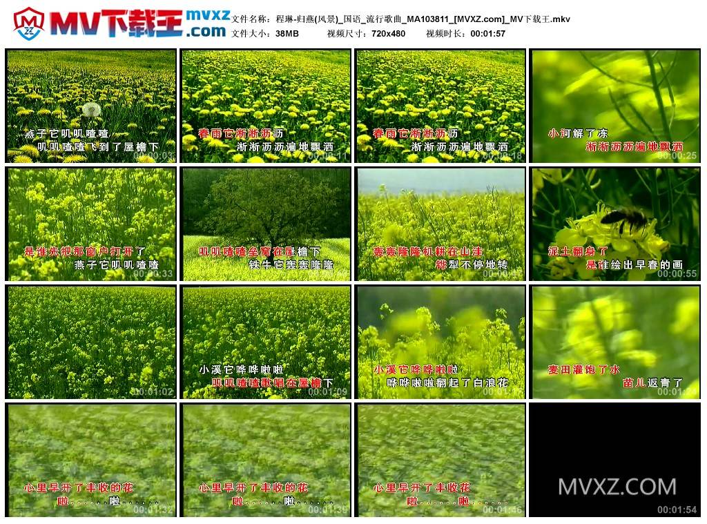 程琳-归燕(风景)_国语_流行歌曲_MA103811